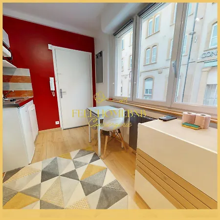 Le Petit Cocon, Station, Center & Free Coffee Lägenhet Nancy