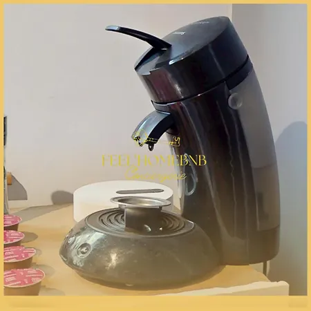 Le Petit Cocon, Station, Center & Free Coffee Lägenhet Nancy