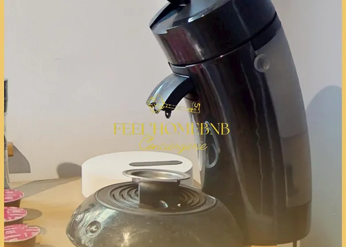 Le Petit Cocon, Station, Center & Free Coffee Lägenhet Nancy